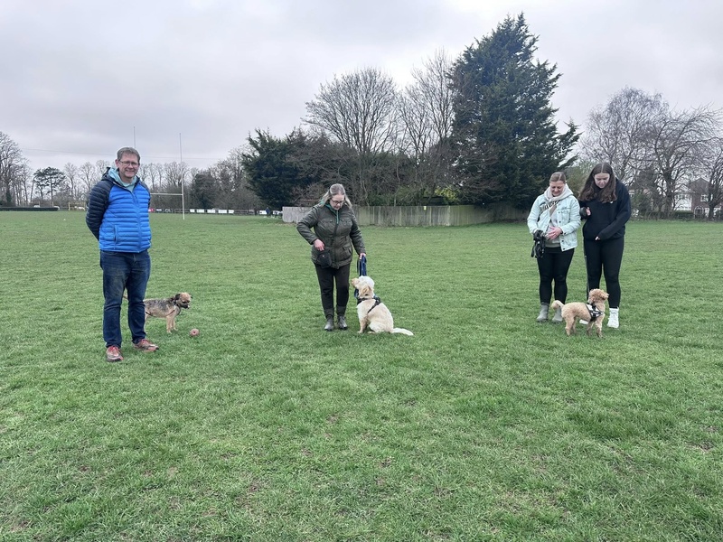 The Recall Trap: Is Your Dog’s Favourite Game Switching Their Ears Off?